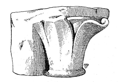 Fig. 3—Transitional Capital.