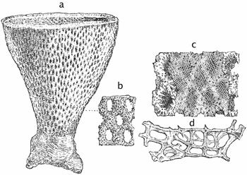 Fig. 73.