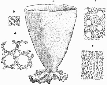 Fig. 75.