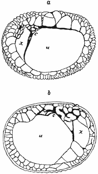 Fig. 674.